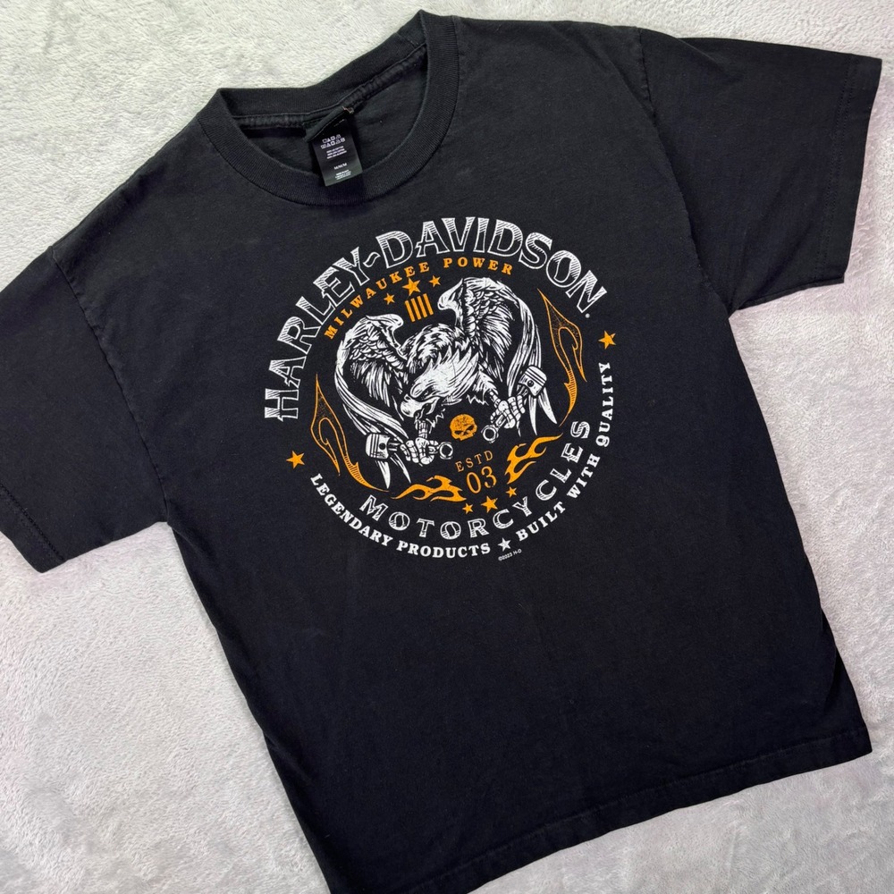 Harley Davidson Mens‎ T-Shirt Small Black Blue Ridge NC Eagle Graphic Tee